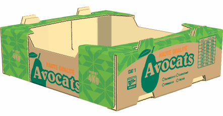 Caja para Aguacate